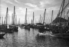 ���� ������ ��� ��� ����